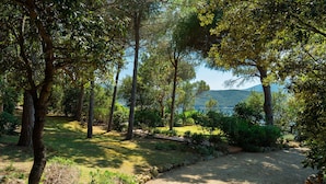 A gravel path leading through a wooded area with trees and a view of a lake and mountains in the distance. - Villa Il Faro 10, Emma Villas (Scaglieri)