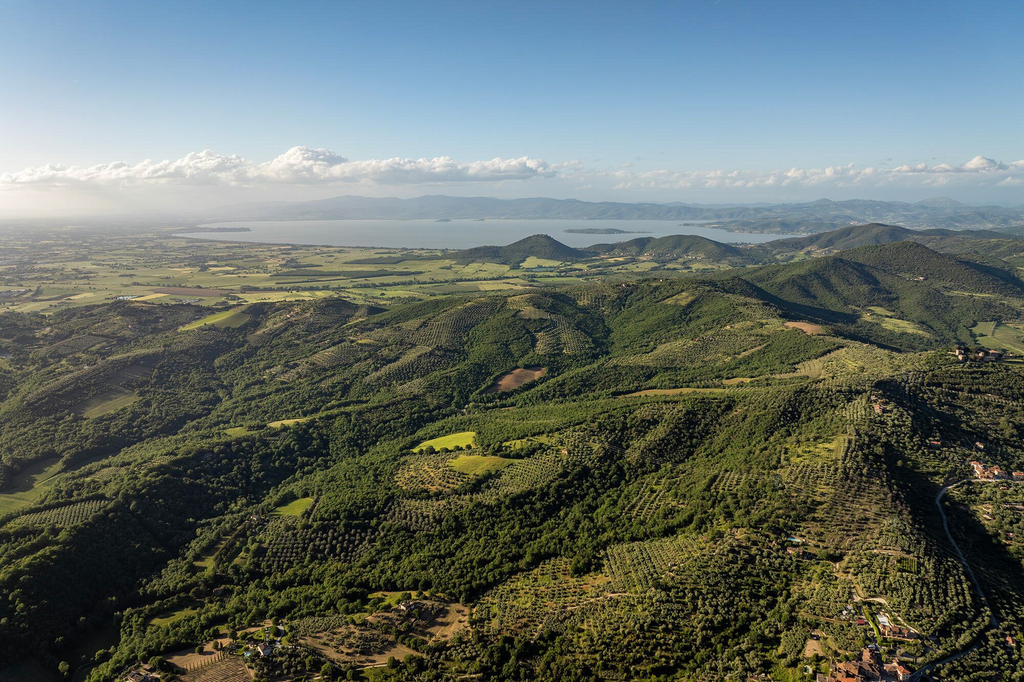 A mountainous landscape with terraced vineyards and a distant body of water.