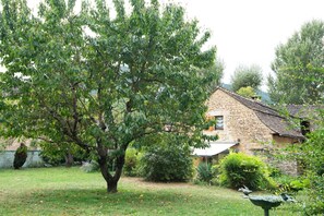 Ein Steinhaus mit Garten, einem großen Baum und einem Vogelbad.