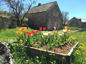 A stone building with a tiled roof, surrounded by a garden with tulips and dandelions. - The Maison Caussenarde at La Bazalgette (SAINT ETIENNE DU VALDONNEZ)