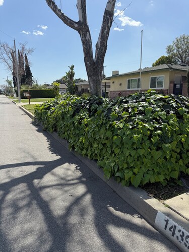 Independent 1-bedroom ,1 bathroom and kitchen, fridge ,in Covina