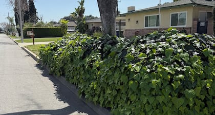 Independent 1-bedroom ,1 bathroom and kitchen, fridge ,in Covina