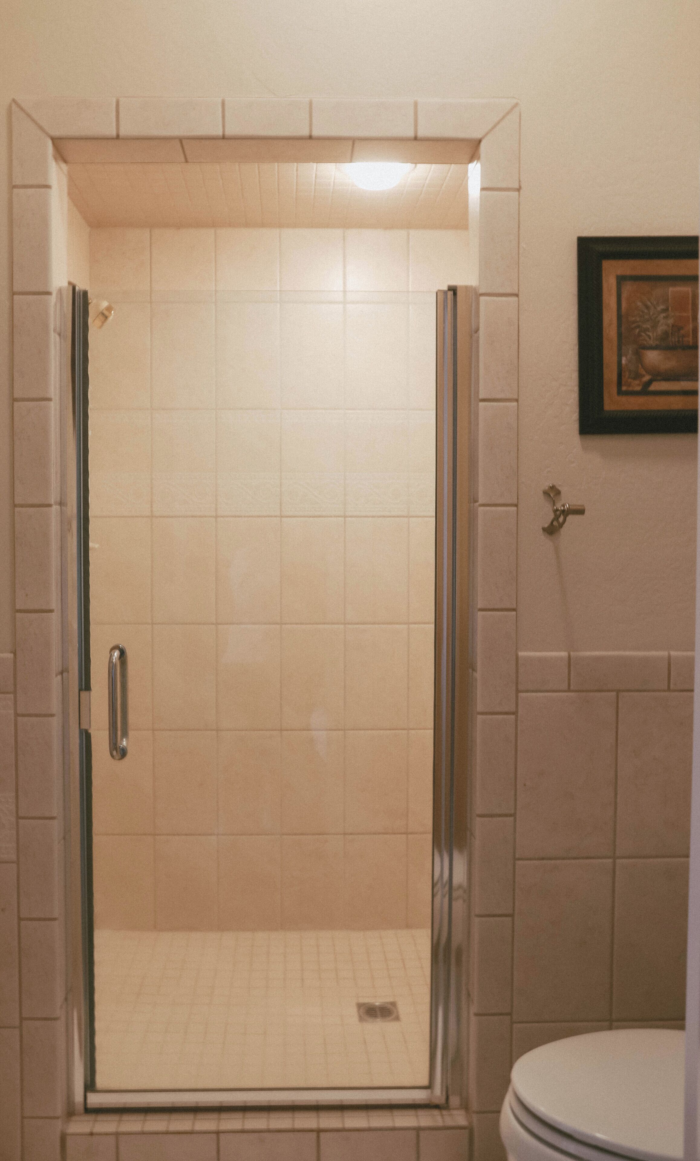 Un baño con ducha de vidrio, un inodoro y un cuadro en la pared.