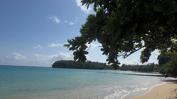 A beach with clear turquoise water, a sandy shore, and a forested island in the distance. - Sunny Beach Inn (Ocho Rios)