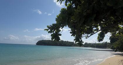 Shaw Park Beach Hotel at Sunny Beach Inn