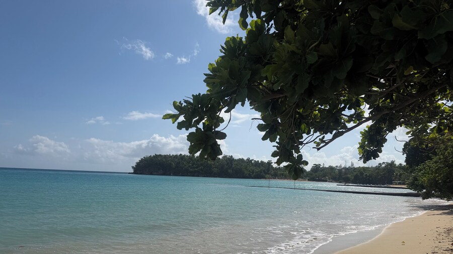 Shaw Park Beach Hotel at Sunny Beach Inn