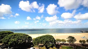 Uma praia com céu claro, árvores e um cais.
