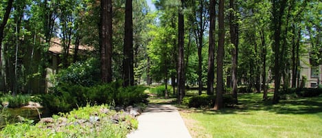 Terrain de l’hébergement