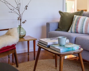 TV, fireplace, books, music library - Lakeside Retro Cottage for two (Basin View)