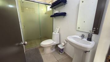 A bathroom with a glass shower enclosure, a toilet, a sink, and a mirror.
