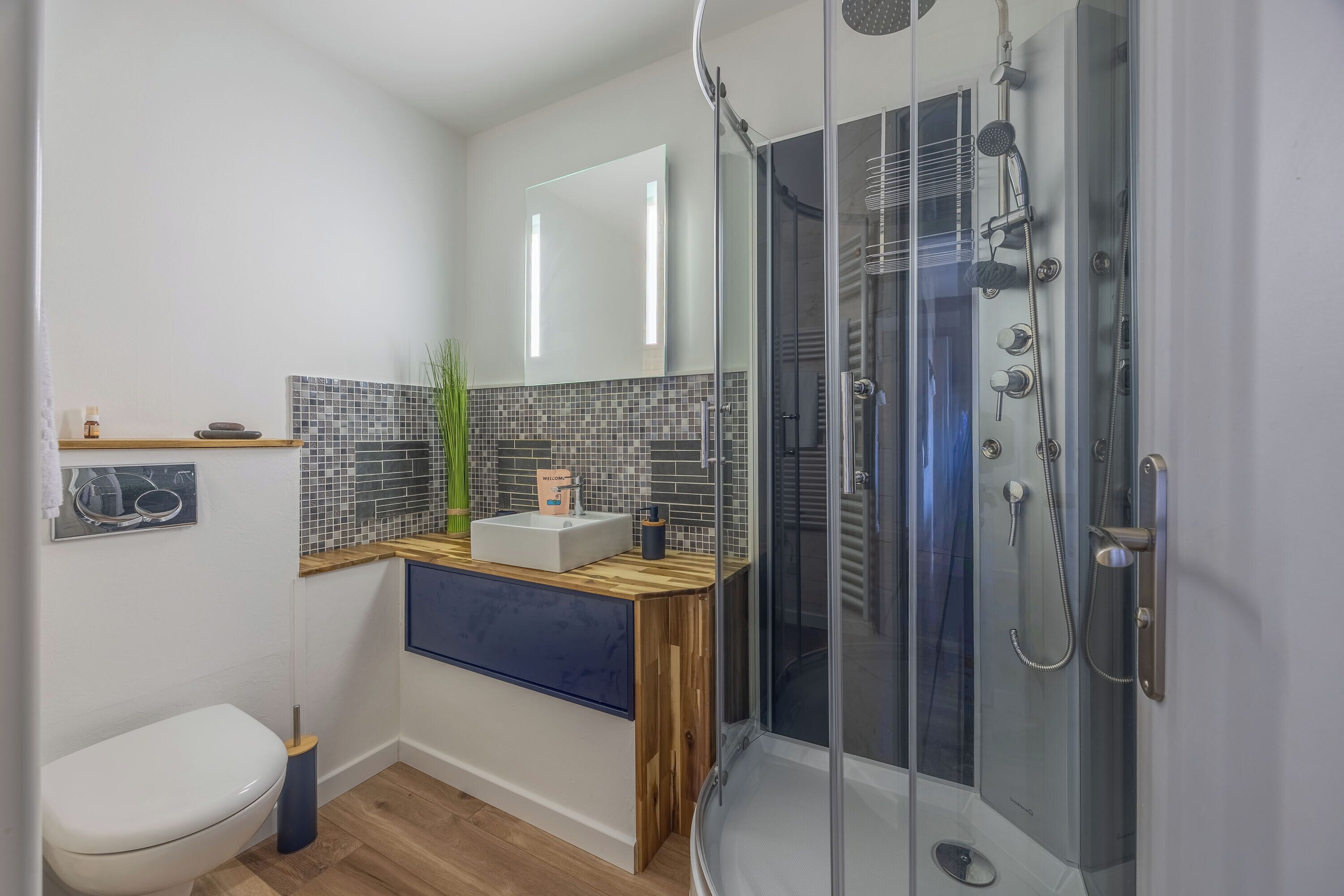 Shower, hair dryer, towels