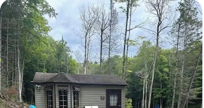Steps away to gooderham lake plus pet friendly