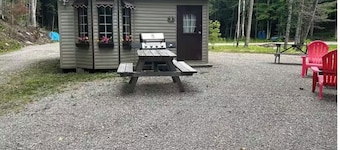 Steps away to gooderham lake plus pet friendly