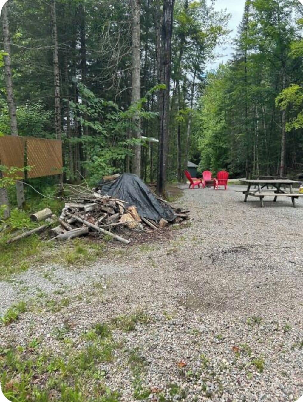 Ein von Bäumen umgebener Campingplatz mit Picknicktisch und roten Stühlen.