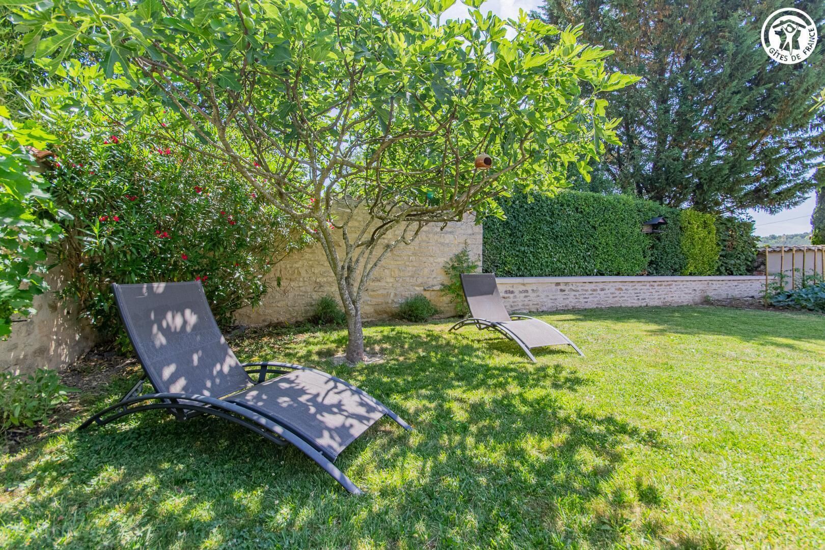 A garden with two lounge chairs, a tree, and a stone wall.