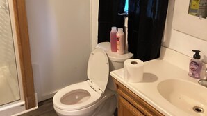 A bathroom with a toilet, a sink, and a shower area.
