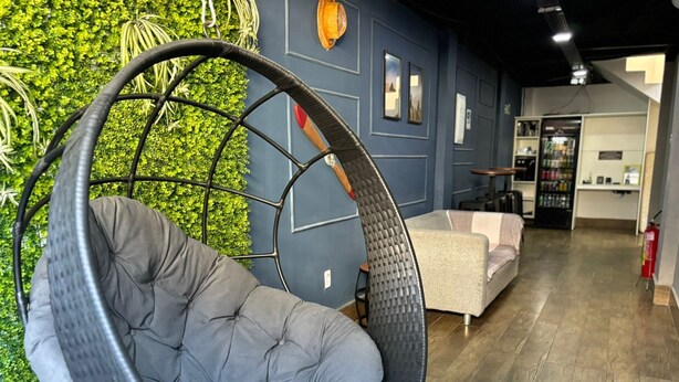 A hanging chair in a room with a blue wall and a green plant wall.