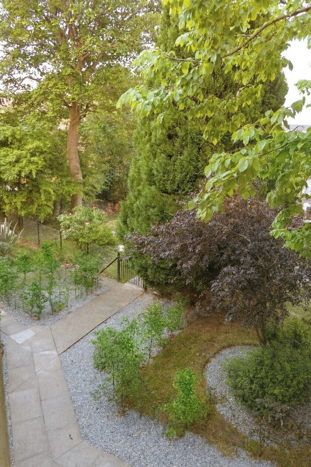 Un jardin avec un sentier, divers arbustes et un arbre aux feuilles vertes.