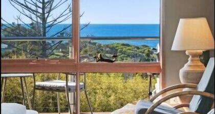 Viewpoint - Sparkling Coastline Views