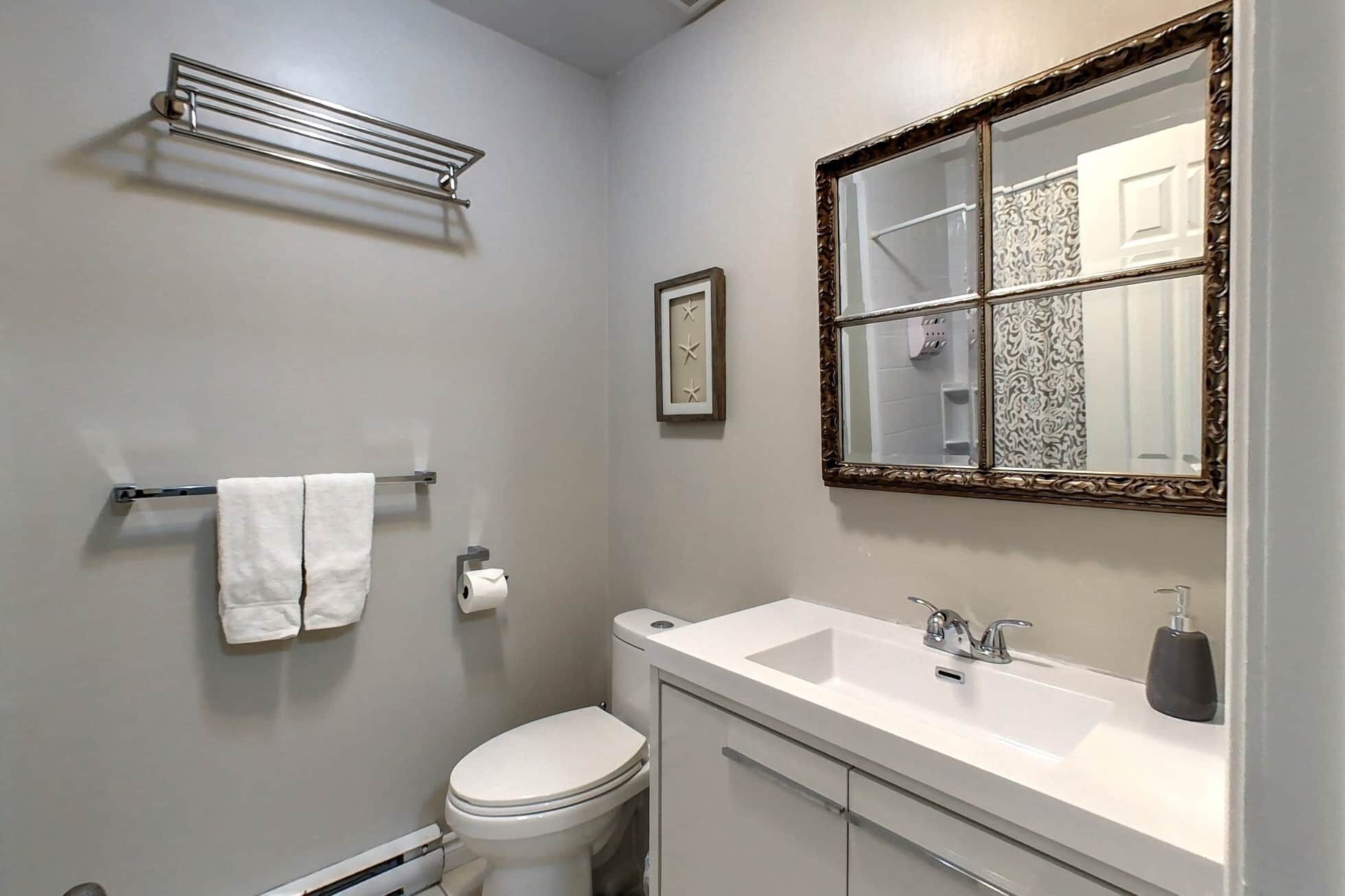 Un bagno con il water, un lavandino, uno specchio, un portasciugamani e un elemento decorativo a parete.