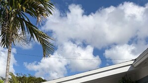 A white building with a door, two potted plants, a palm tree, and a clear sky.