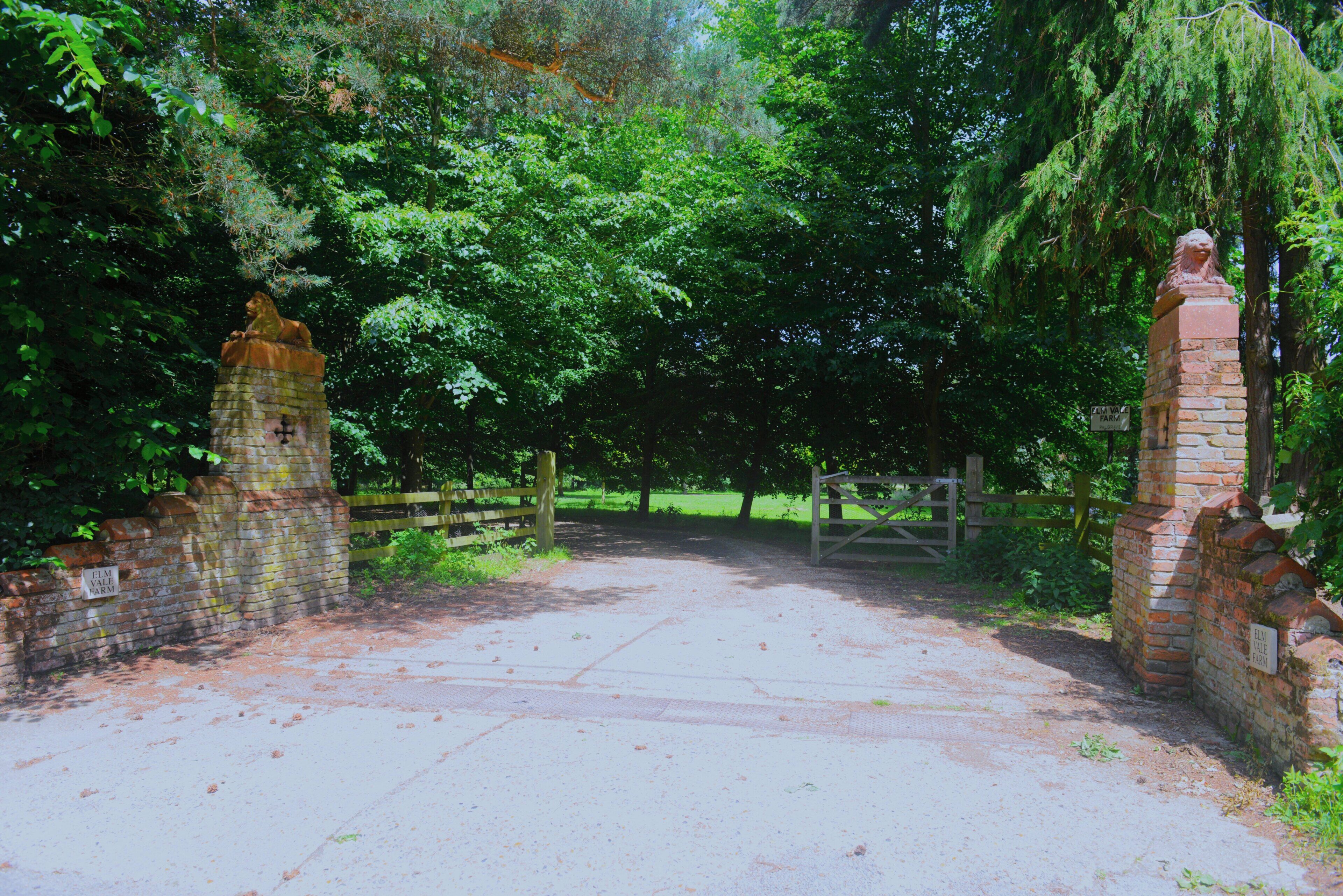 A rustic gate with a brick wall and a wooden fence, leading into a wooded area.