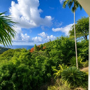 A lush green landscape with dense foliage, a palm tree, and a clear blue sky.