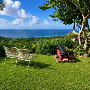 A grassy area with a white wicker chair and a red cannon, overlooking a scenic view of the ocean.