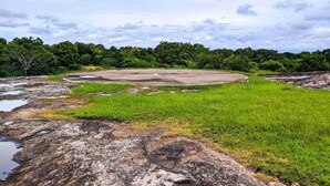 A natural landscape with a large open area, possibly a field or clearing, surrounded by dense greenery and trees.
