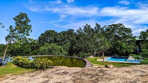 A natural landscape with a pond, trees, and a clear sky.