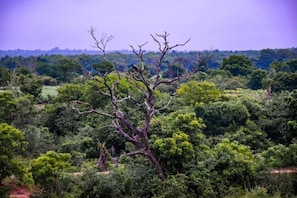 Miscellaneous - The Vintara Wild Resort Hambantota (Hambantota)