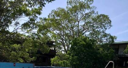 The Vintara Wild Resort Hambantota