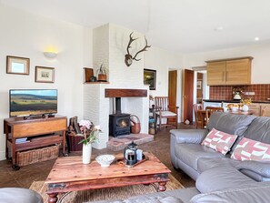 A living room with a fireplace, sofa, television, and a kitchen area in the background. - Beehive Cottage, Culbone (Porlock)