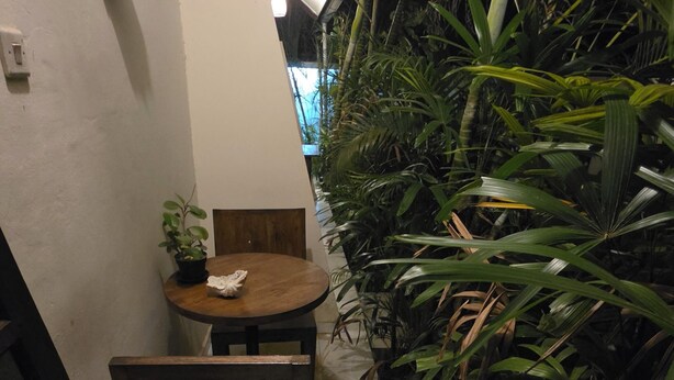 A narrow hallway with a wooden table and chairs, a potted plant, and a wall-mounted light fixture.