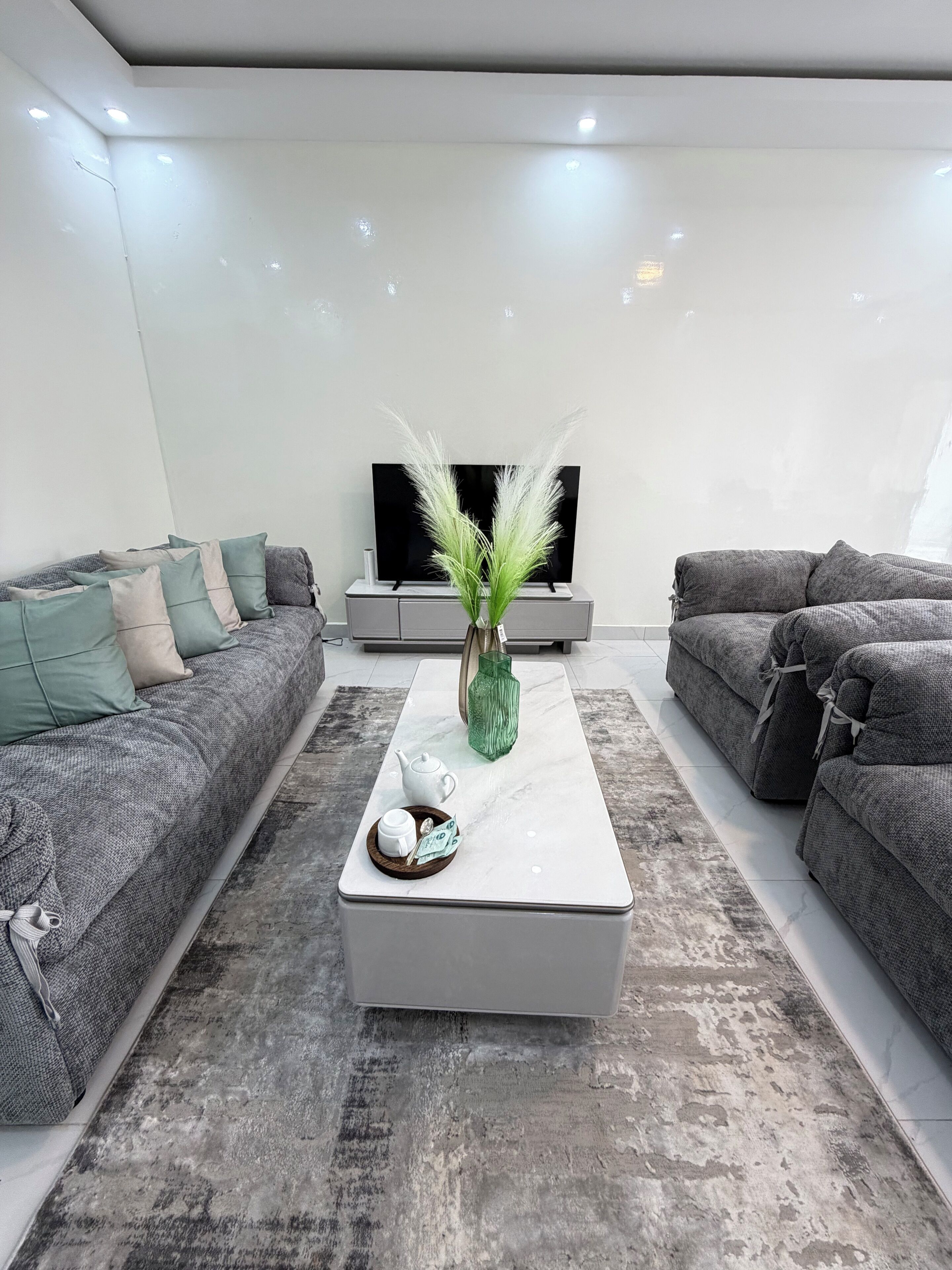 A modern living room with a sofa, a coffee table, a TV, and decorative items.