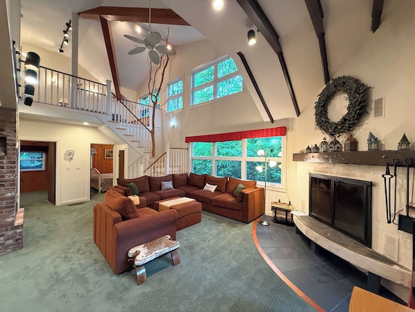 TV, fireplace, DVD player, books