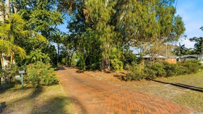 Un camino pavimentado que serpentea por un jardín con distintos árboles y arbustos.