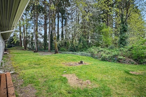 A grassy yard with trees, a wooden bench, and a small clearing.