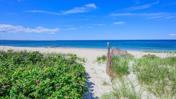 Una playa con valla de madera, sendero de arena y vegetación verde.