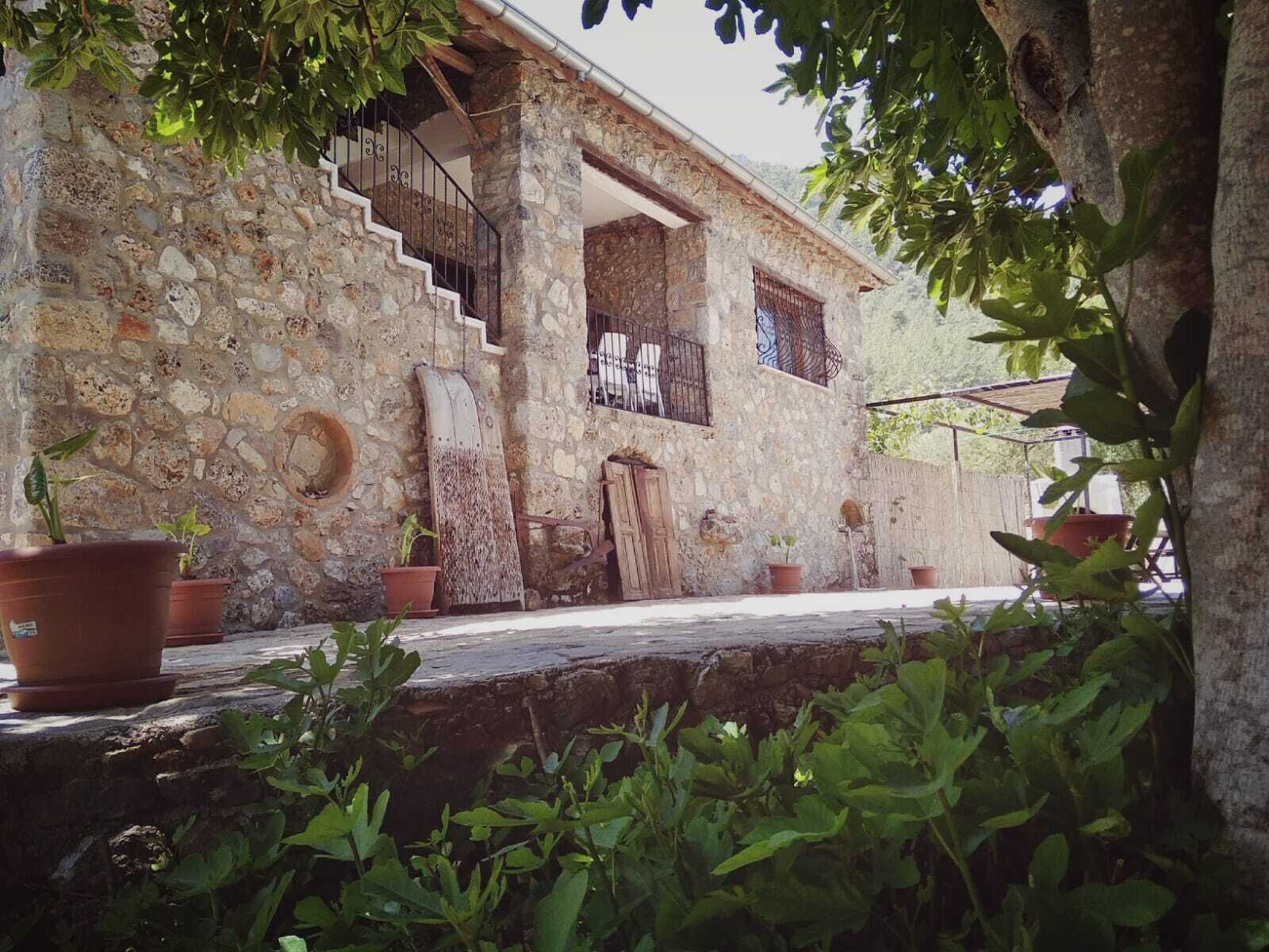 A stone building with a staircase, potted plants, and a wooden door.