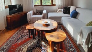 Une pièce chaleureuse avec un plafond en bois, un canapé, un téléviseur posé sur un meuble en bois, une petite table ronde avec un plateau et un tapis à motifs.