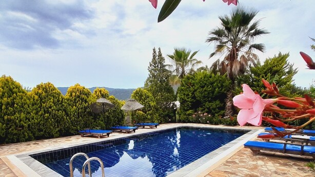 Une piscine dotée d’une plage en pierre, entourée de plantes tropicales et de palmiers.