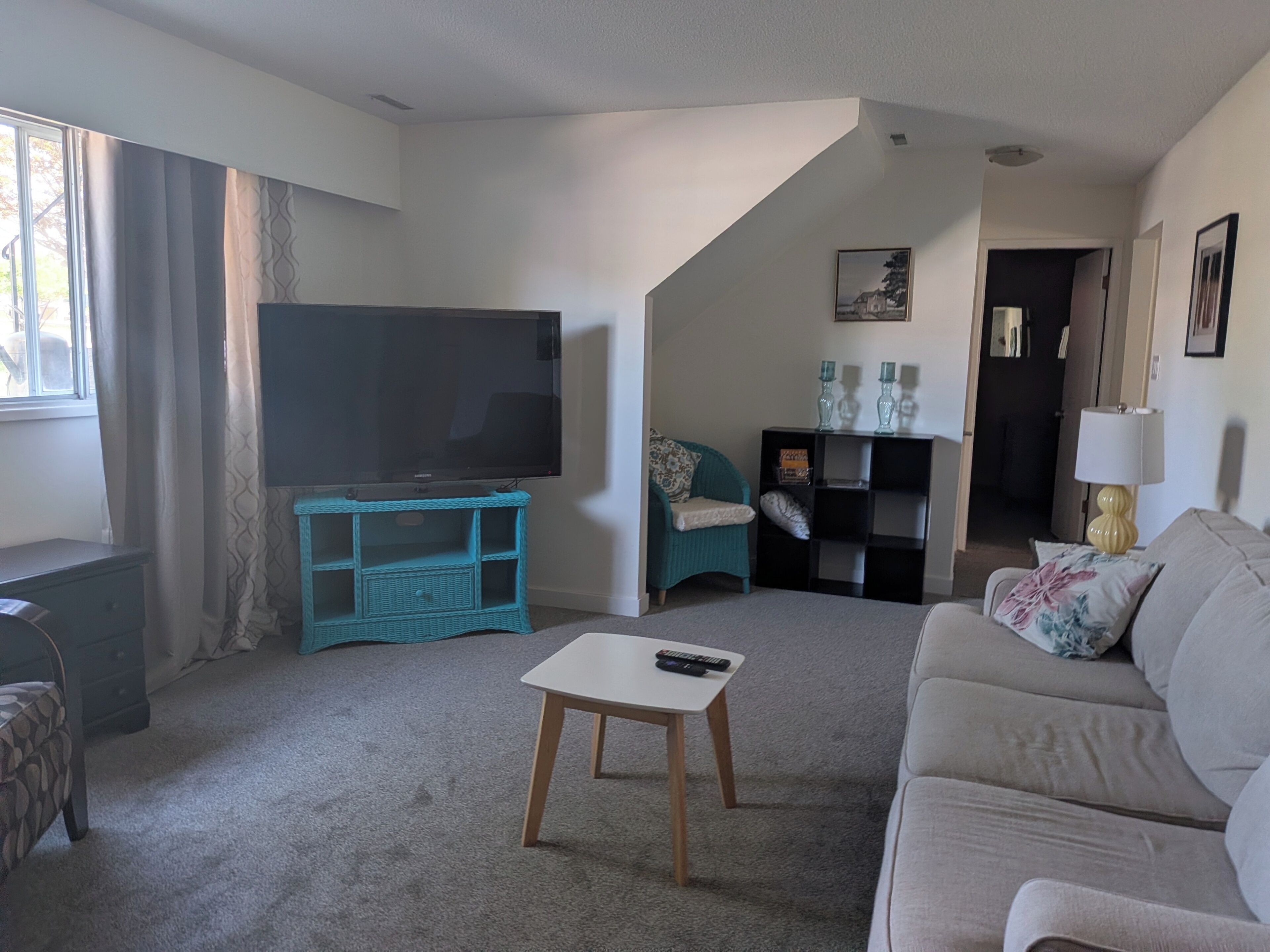 TV, fireplace, books
