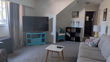 TV, fireplace, books