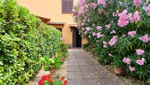 Un camí que condueix a un edifici amb teulada de rajola, envoltat de vegetació abundant i plantes en flor.