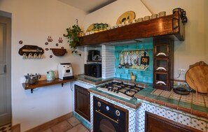 Coffee/tea maker, fridge, stovetop, dishwasher - Pet friendly home in Sinalunga (Sinalunga)