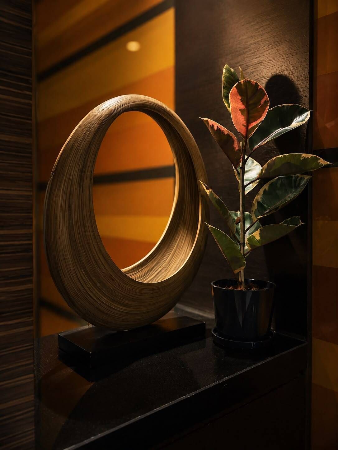 A circular wooden object and a potted plant on a dark surface.