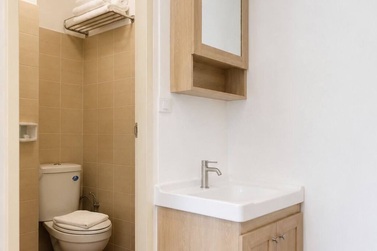 Deluxe Double Room | Bathroom | Shower, hair dryer, towels, toilet paper