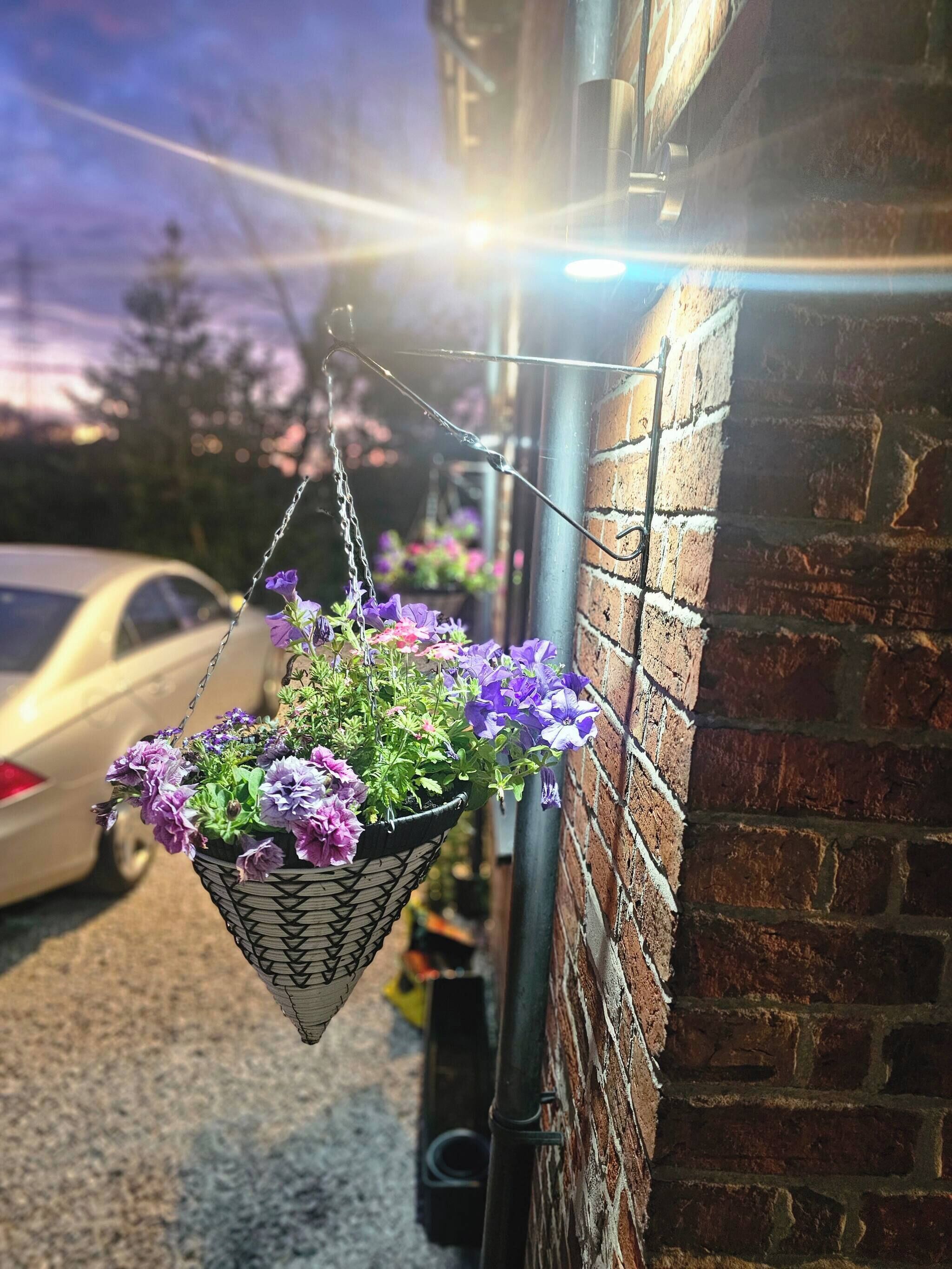 Una maceta colgante con flores moradas, un muro de ladrillo y un coche estacionado.