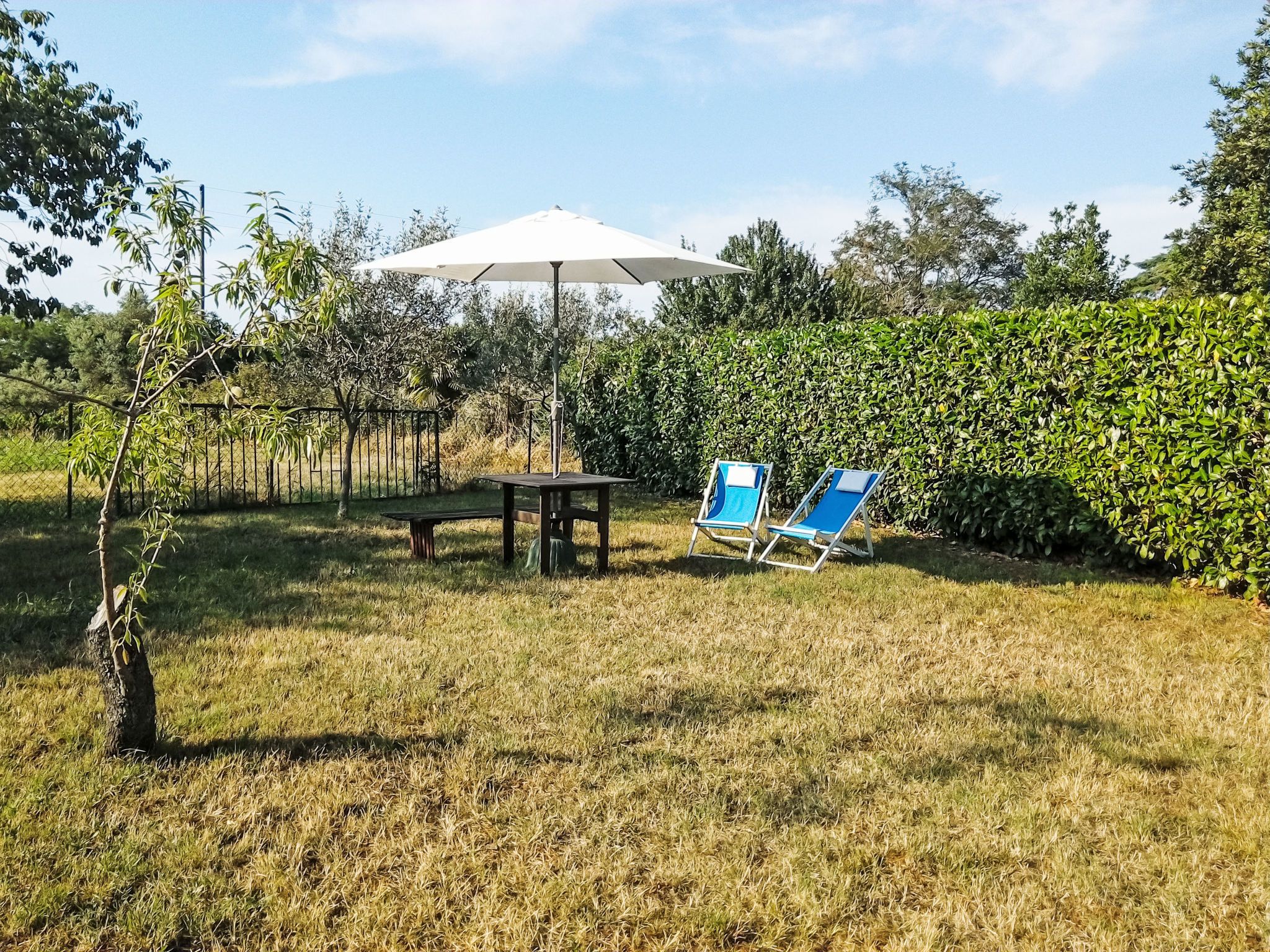 Un espace extérieur verdoyant avec une table et deux chaises de jardin bleues, placés sous un parasol blanc.
